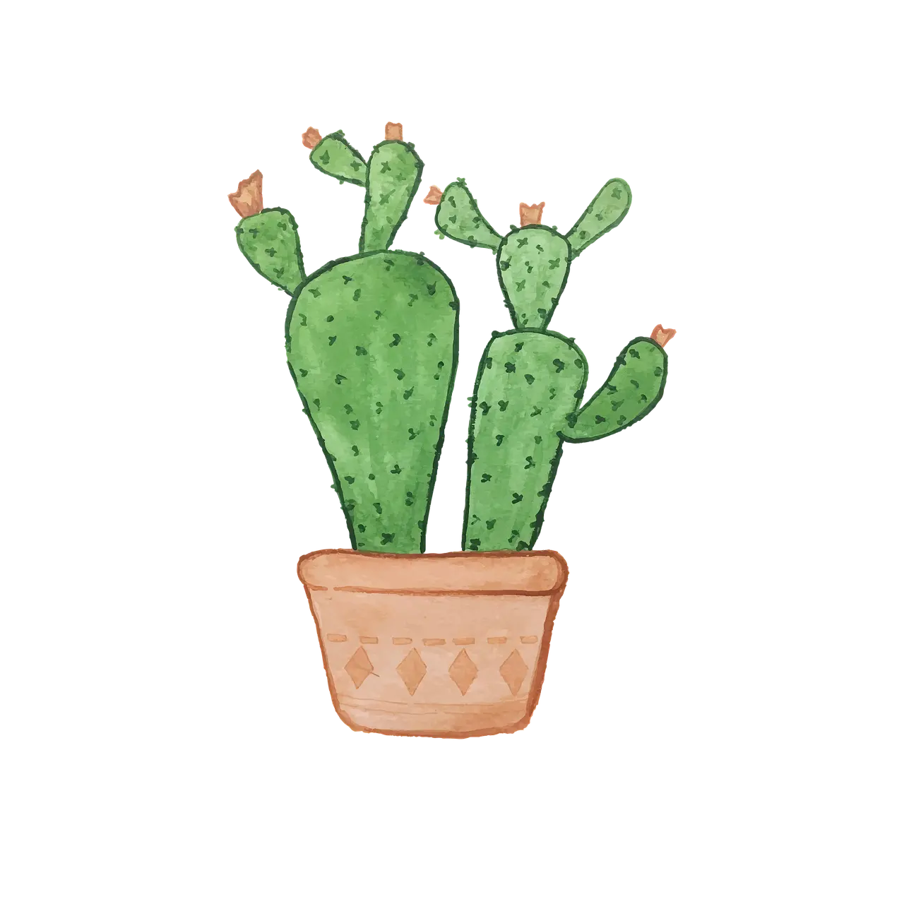 Decorative cactus illustration